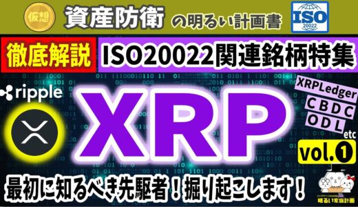 【ユースケース検証】ISO20022✖仮想通貨の入門銘柄『ＸＲＰ』　投資価値の分析＆比較研究の材料に　＃０９４　初心者　Ripple　暗号資産　ODL　資産防衛　XLM　XDC