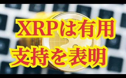 【仮想通貨】リップル最新情報‼️ XRPは有用、支持を表明💹