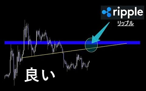 急騰期待できる理由を説明します【XRP リップル】