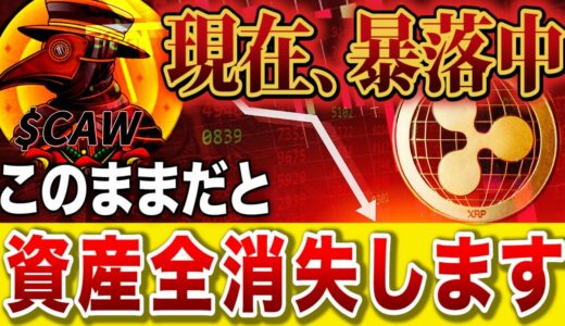 CAW・リップル【その情報、本当にあってますか？】今すぐ考えを変えてください。【仮想通貨】【ビットコイン/XRP】