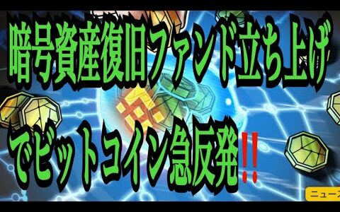 【仮想通貨リップルXRP情報局】暗号資産復旧ファンド立ち上げでビットコイン急反発！！