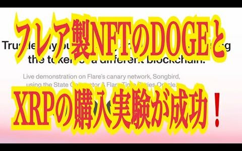 【仮想通貨リップルXRP情報局】フレア製NFTのDOGEとXRPの購入実験が成功！！