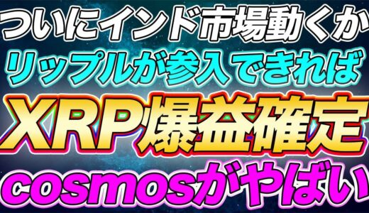 仮想通貨リップル【見逃すな！】実現したらぶっ飛ぶ【コスモス】今チャンスすぎる！