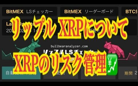 【仮想通貨】リップル XRPについて　 XRPのリスク管理💹