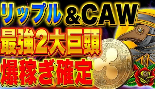 【CAW &リップル】最強×最凶、運命のカウントダウン