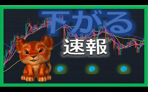 【仮想通貨リップル最新】ここから下落する！初心者でもわかるテクニカル分析