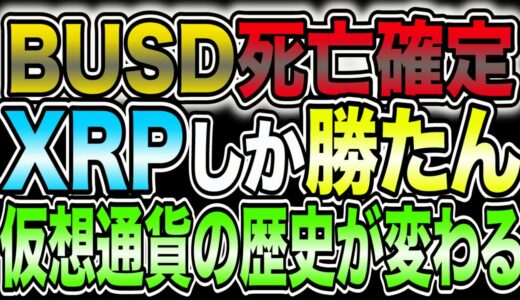 BUSD破産【XRPだけが生き残る⁉︎】この先の仮想通貨は大丈夫なのか。【仮想通貨】【ビットコイン】【XRP /リップル】