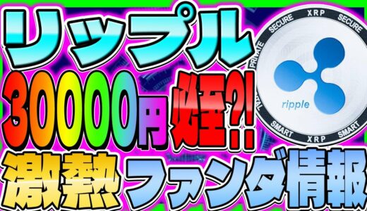 【リップル(XRP)最新情報】30000円必至？！ VISAと提携で爆上げ 裁判負けても影響なし？【仮想通貨】【フレアトークン】【FLR】【CAW】【柴犬コイン】