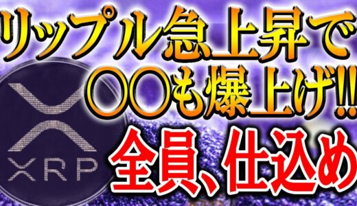 ※後悔はさせない。このコインだけは絶対に仕込んでください。【仮想通貨/暗号資産】【XRP/リップル】【XLM/ステラルーメン】