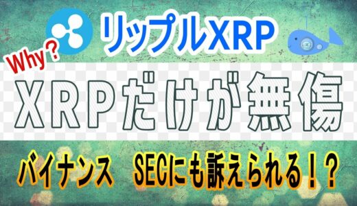 【リップル・XRP】米国商品先物取引委員会 (CFTC)がバイナンスを訴える中、リップルXRPだけが無傷！なぜ？【仮想通貨】