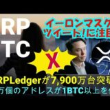 【仮想通貨】イーロンマスクがツィートした内容でXRPコミュニティ大注目！1BTC以上保有のビットコインアドレス急増！世界の最新仮想通貨ニュースをタイムリーに配信！　#暗号資産,#BTC,# XRP,