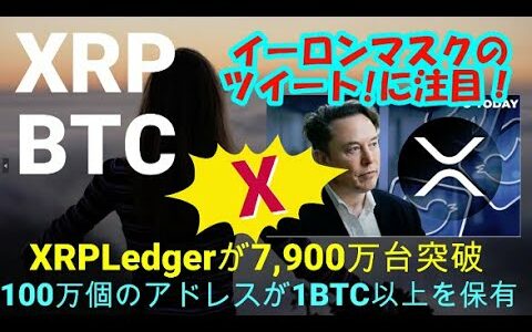 【仮想通貨】イーロンマスクがツィートした内容でXRPコミュニティ大注目！1BTC以上保有のビットコインアドレス急増！世界の最新仮想通貨ニュースをタイムリーに配信！　#暗号資産,#BTC,# XRP,