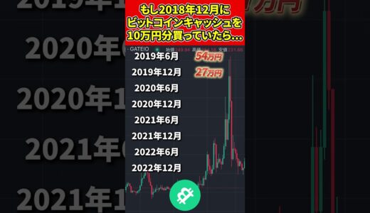 もし2018年12月にビットコインキャッシュを10万円分買っていたら.... #ビットコイン #イーサリアム #リップル #仮想通貨 #仮想通貨初心者 #仮想通貨バブル #仮想通貨投資 #shorts