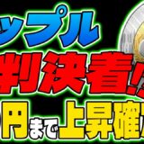 【リップル(XRP)】SEC裁判遂に決着！？最新ファンダで今後爆上げ？！【仮想通貨】【リップル】【XRP】