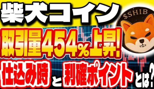 【柴犬コイン(SHIB)】メインネット◯月ローンチ？！利益確実？！ 仕込みどきと利確ポイントとは？【リップル(XRP)】【CAW】【ビットコイン】 】【今後】【億り人】【買い方】【シバリウム】