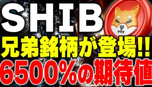 【SHIBコイン/仮想通貨】遂に新銘柄登場！今後の爆上げに期待が高まる！【xrp/リップル】【btc/ビットコイン】