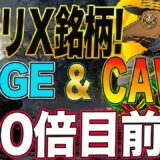 CAWとDOGE確定!【X銘柄!!!】【11円→1100円!!】【全世界の金融銘柄!】少量でも保有しとけ!!