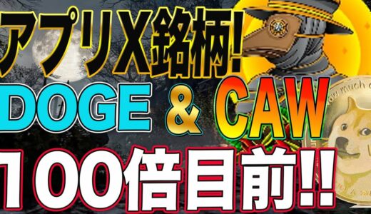 CAWとDOGE確定!【X銘柄!!!】【11円→1100円!!】【全世界の金融銘柄!】少量でも保有しとけ!!