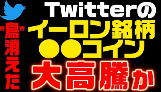 【Twitter → X(エックス)へ…】DOGEと●●がやばい‼アレを見てれば最大利益ゲット‼【仮想通貨】【イーロンマスク】【CAW】