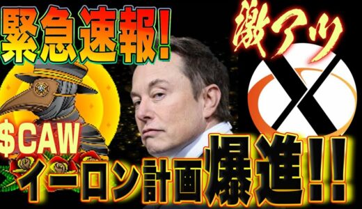 緊急速報です!!【CAW×DOGE×イーロンの真実】【真情報!!!】これはやばすぎる