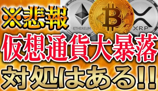 【今から大暴落します】対策あります。その中で稼げるコインもあります。【BTC/ビットコイン/柴犬/仮想通貨/暗号資産】