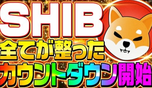 【SHIBが急騰カウントダウン】シバリウム実装前に特殊アップデート情報！仮想通貨シバがミームコイン卒業へ！【仮想通貨】【SHIB】【シバリウム】