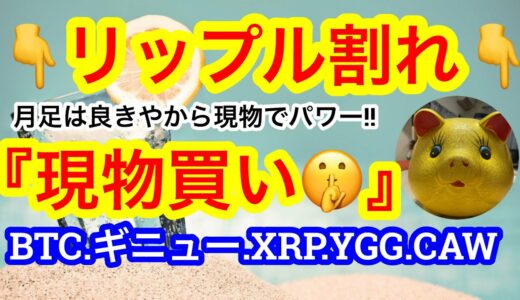 『X』は独自通貨を作りません😑逆に$DOGEはチャンスです⁉️今日はギニュー特戦隊が絶好調‼️メンタル捨て身の隊長です😑【仮想通貨 BTC.ETH.XRP.YGG.CAW】