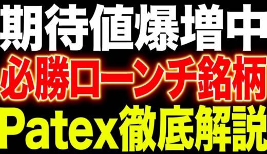 【爆上げほぼ確】最新仮想通貨「Patex」IDO登場！【仮想通貨】【バイナンス】
