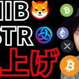 シバイヌ&アスター爆上げ。リップル7,245円に。(仮想通貨BTC ETH XRP SHIB BCH ASTR ドル/円 相場分析)