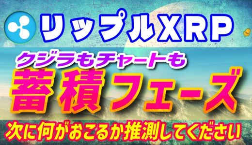 【リップル（XRP）】クジラもチャート形状も蓄積フェーズ【仮想通貨】高騰に繋がったパターン！