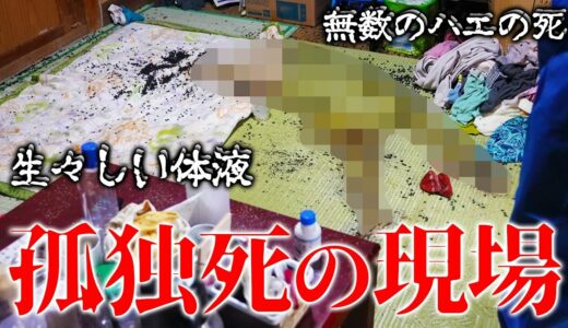 【モザイクなし】孤独死の現場を特殊清掃～原状回復までに密着