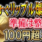 【リップルの時代到来】100円までもうすぐ。【XRP/仮想通貨/暗号資産】