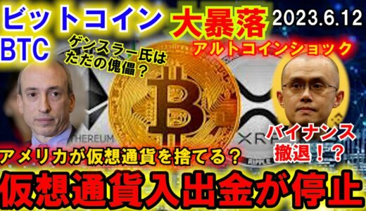 ビットコインの入出金が停止！？アルトコインショックは6月13日に終わる？ヒンマン文書の公開で流れは変わる！