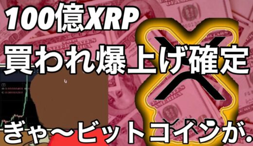 ぎゃ〜！！ビットコイン XLMが…リップルXRP 100億XRPの買いが今後入り月へ行く