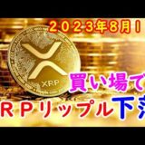 ＸＲＰリップル下落したので買い増し ２０２３年８月１７日