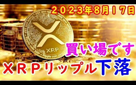 ＸＲＰリップル下落したので買い増し ２０２３年８月１７日