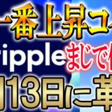 【今仕込まなきゃ後悔します】価値確定コインのリップル【仮想通貨/暗号資産】【XRP/バイナンス】