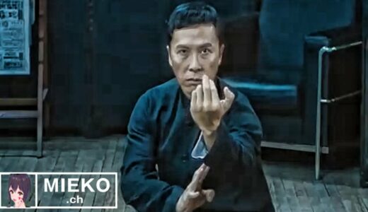 【ドニーイェン ／  アクション集】パート４＿Donnie Yen  Best Fight Scenes   Part Ⅳ  2019