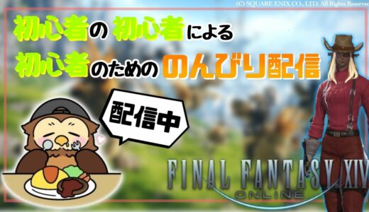 [FF14]超初心者がゼロから始めるFF生活、メイン進めたり寄り道したり[ネタバレ注意]