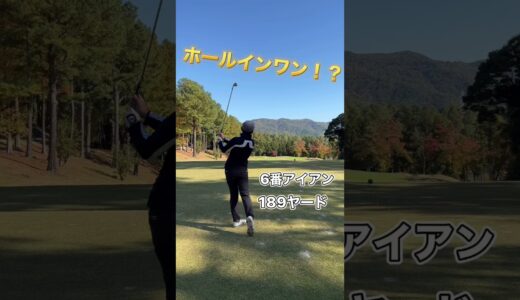 ホールインワン！？ #shorts #short #golf #ゴルフ #ゴルフスイング #ゴルフ男子 #ゴルフ女子 #ゴルフ練習