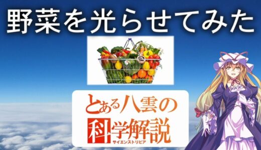 とある八雲の科学解説 『野菜を光らせてみた』
