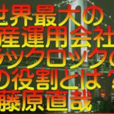 【ゆっくり解説】世界最大の資産運用会社ブラックロックの真の役割とは？藤原直哉