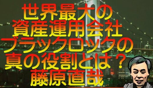 【ゆっくり解説】世界最大の資産運用会社ブラックロックの真の役割とは？藤原直哉