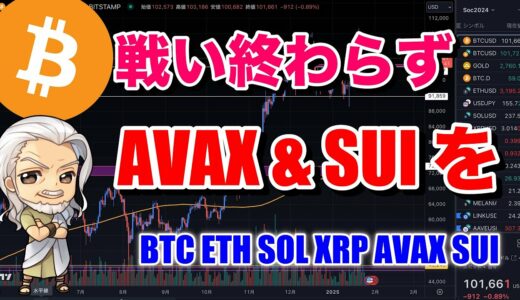 戦いはまだ終わらない。休むも相場ですよ。ビットコイン/BTC ETH SOL XRP AVAX SUIのチャート分析。