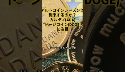 アルトコインシーズン は到来するのか？ 調整相場、 終了後の仮想通貨市場に注目　#暗号資産#アルトコイン#ビットコイン#トランプ次期米大統領