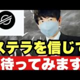 【XLM】ステラルーメンは長期で保有今後の見通し#仮想通貨 #xlm #ステラルーメン