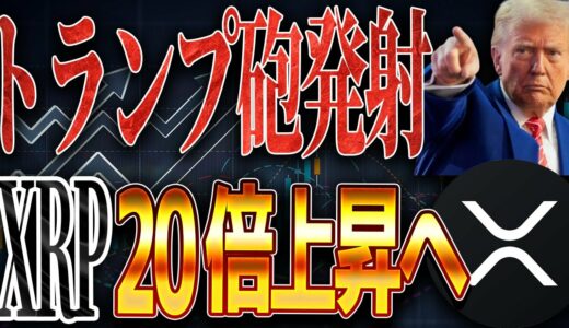 【仮想通貨バブル再来日確定】トランプ砲でXRP20倍上昇します。【ステラルーメン】【ビットコイン】