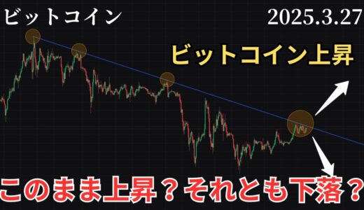 3/27 ビットコイン節目のラインに到達！　過去バブルと比較して今後の値動き予測　フィボナッチ分析