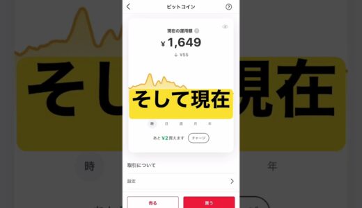 #メルカリビットコイン買ってみた結果　#メルカリ #メルカリ稼ぐ #メルカリビットコイン#ビットコイン #ビットコイン取引履歴 #天津風ヌッセル時胸