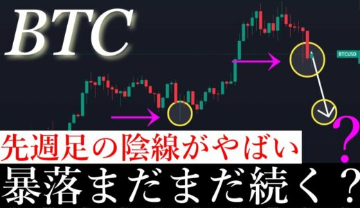 📈今回の暴落目標値を解説します/ビットコイン分析